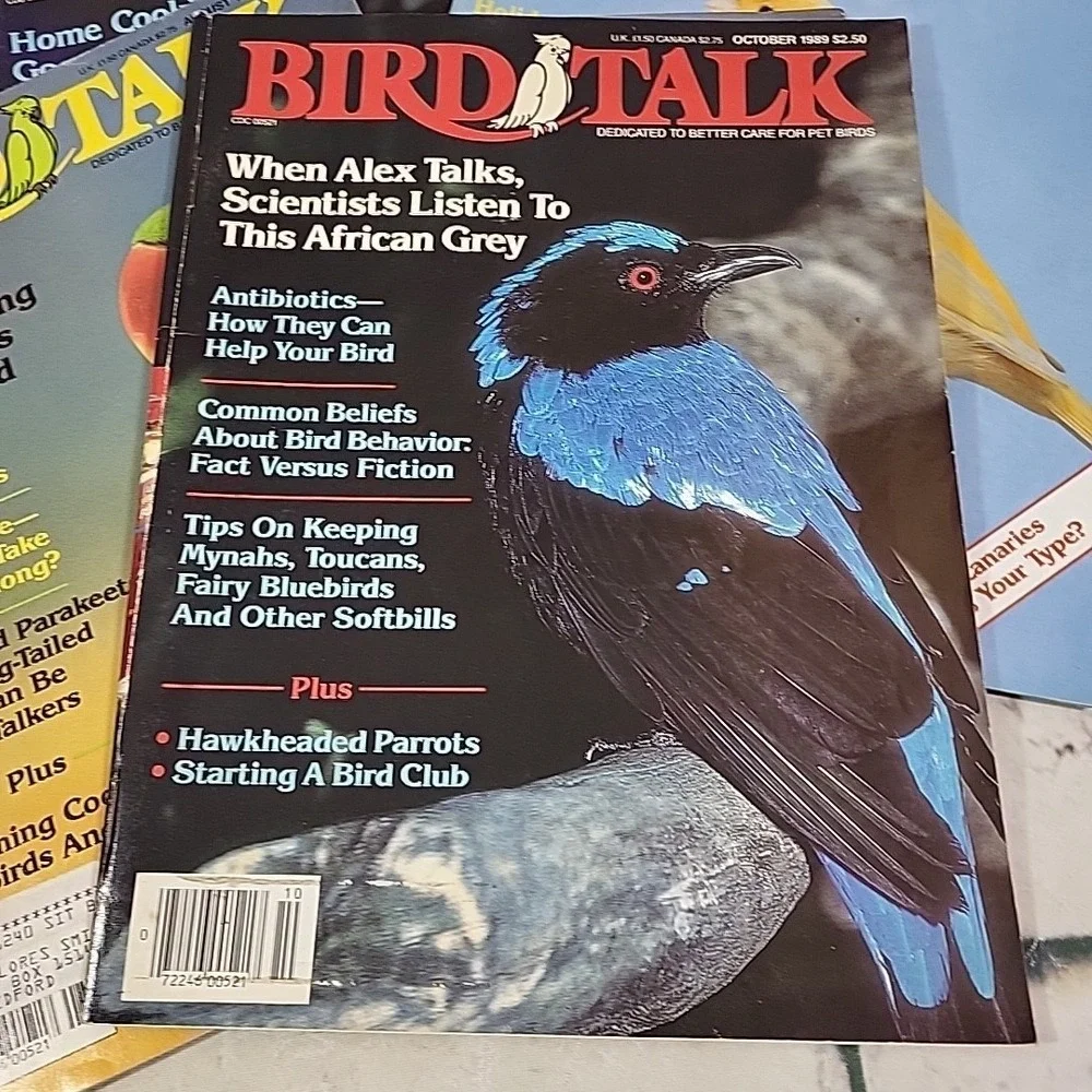 Vintage 80s Bird Talk Magazines Lot‎ Of 7 Pet Care Periodicals 1988-89